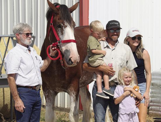 CCPRCA Rodeo Sponsor Bradberry's Best treated the community to a Meet and Greet with the famous Big Feeds Clydesdales Friday, Sept. 25. Also present was author Paige Murray and her husband, rodeo legend Ty and daughter, Oakley, for a book signing with 'Rosie's Wild Ride: Chasing Big Rodeo Dreams.' Below, a bull rider tries to hang on for 8 seconds during the Stephenville Cowboy Capital of the World PRCA Rodeo held Sept. 24-27. Wyndi Veigel-Gaudette | Citizen staff photo