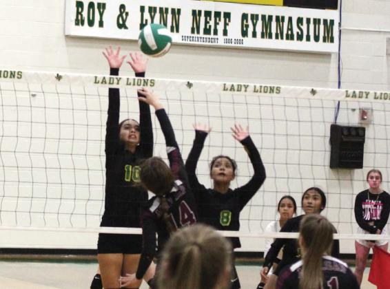 Dublin JV Lion Alex Teten