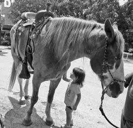 Big Red at “National Day of the Cowboy” in Dublin