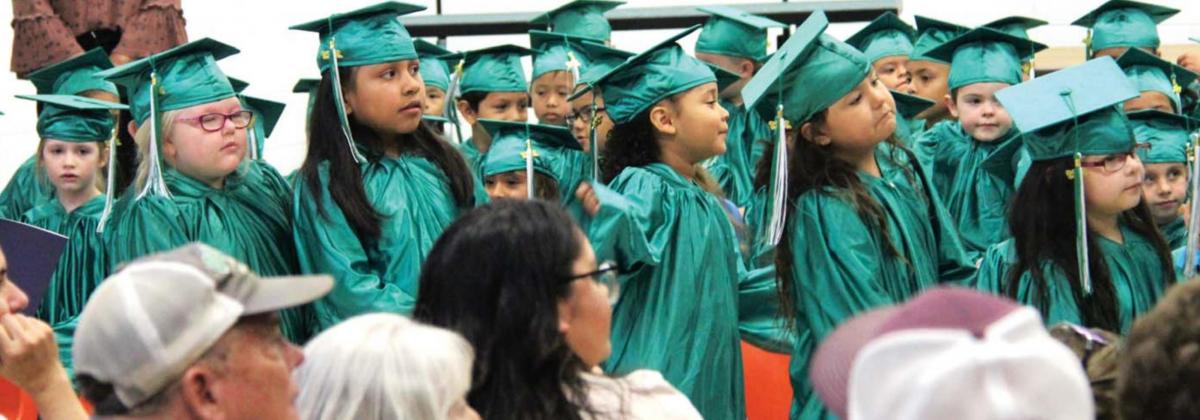 Young grads garbed in gowns