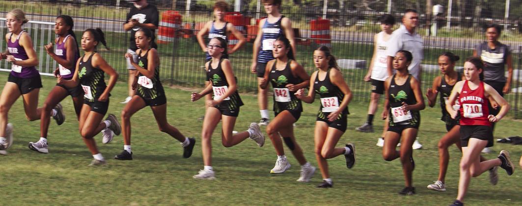 Varsity Lady Lions