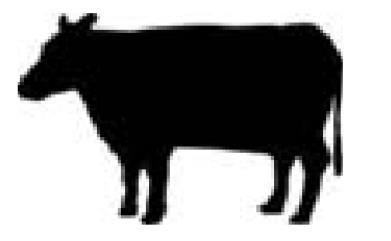 Alt Text for Image