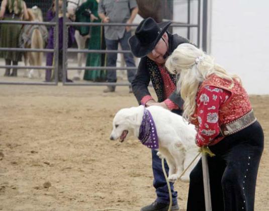 Bert and Frannie Davis hoist a rope for one of the canine performers of Davis’ Muttley Crew to balance on. For more information on the act, find them on Facebook. Wyndi Veigel-Gaudette | Citizen staff photo