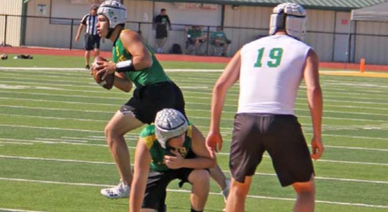 7-on-7 snags state ticket