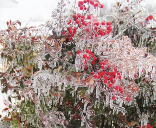 Dublin stops for snow days