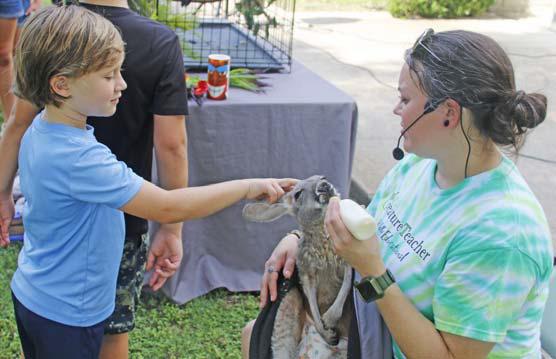 Scaling friendship with feathered, furred friends