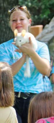 Scaling friendship with feathered, furred friends