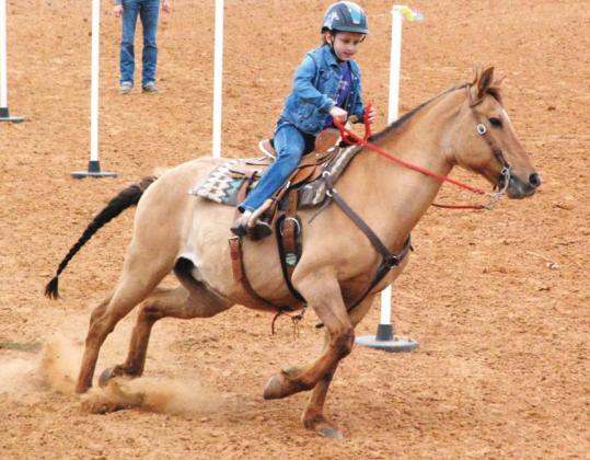 Double N host Fun Day rodeo