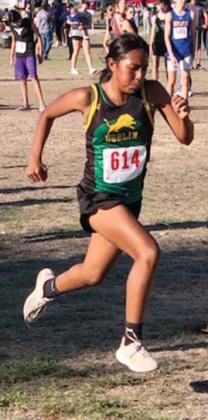 8th XC boys get gold