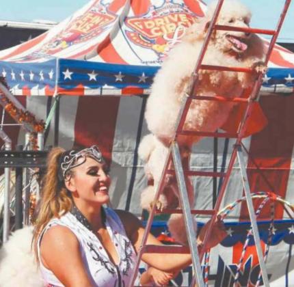 Park hosts open air ‘Big Top’