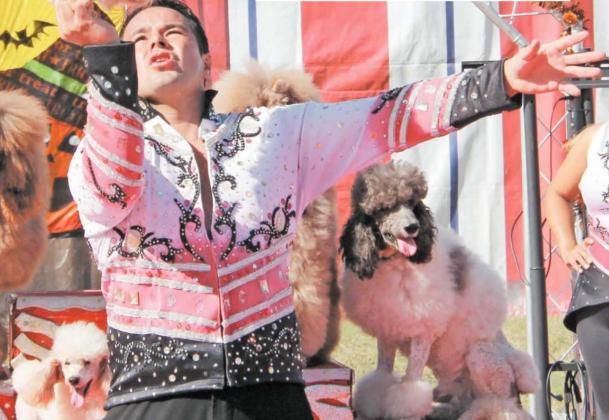 Jorge Dominguez (above) balances a canine performer in a ‘pawstand during the Drive-In Circus Live held at Dublin City Park this past week while wife, Alcira, holds a ladder steady for a free-diving dog to climb. Logan (below, left) leads a pooch to jump an obstacle while Makayla leads a canine conga line. Wyndi Veigel | Guest photos