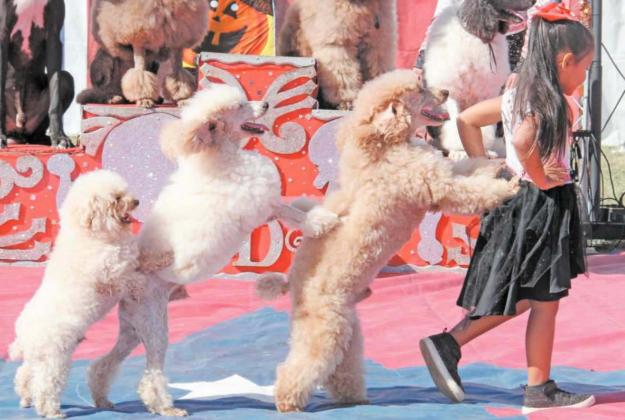 Park hosts open air ‘Big Top’
