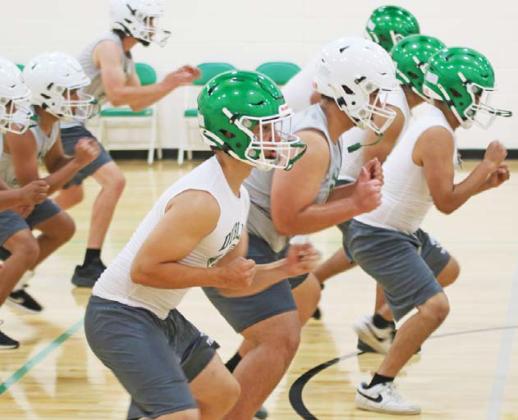 Lions pounce on practice
