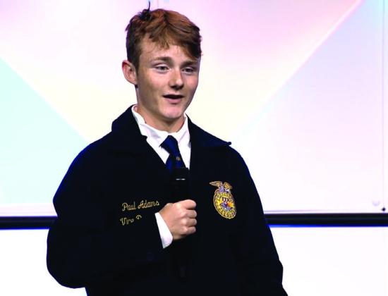 Dublin FFA makes its mark Nationally