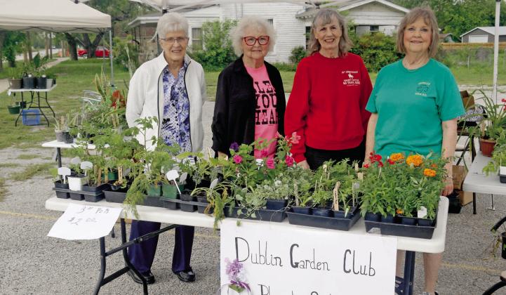 Gardens of plenty