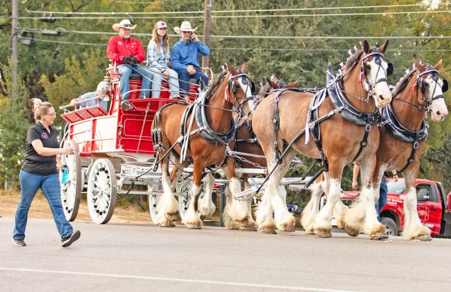 Big V Feeds Inc. carries the Grand Marshals Paige and Ty Murray and their children Kase and Oakley during the 2026 Cowboy Capital of the World Rodeo Heritage Parade in Stephenville Saturday, Sept. 26. The parade was sponsored by Bradberry's Best. Danielle Meador | Citizen staff photo
