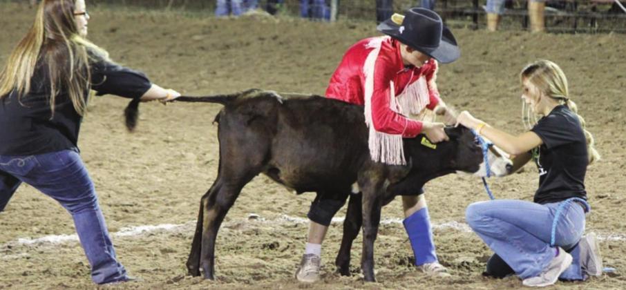 Rodeo honors responders