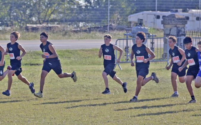 Dublin JH runners medal at season’s