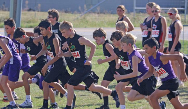 Dublin JH runners medal at season’s