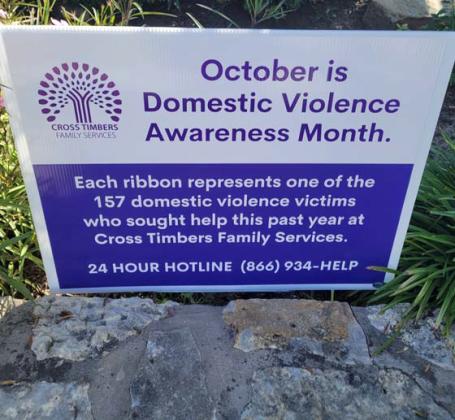 Dublin shows support for Domestic Violence victims