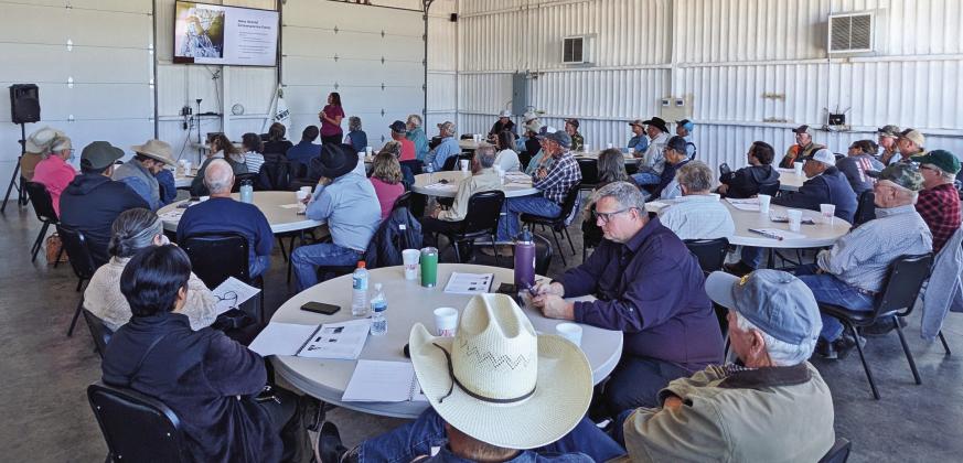 A Cattle Gathering Beef Program