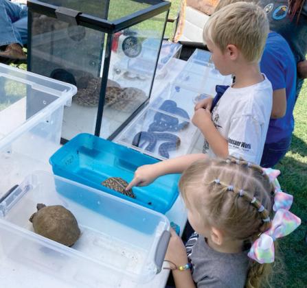 Kids enjoyed petting some turtles at Nature Fest