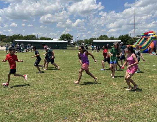 Field days 2023