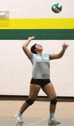 More than 30 Dublin volleyball players