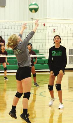 More than 30 Dublin volleyball players