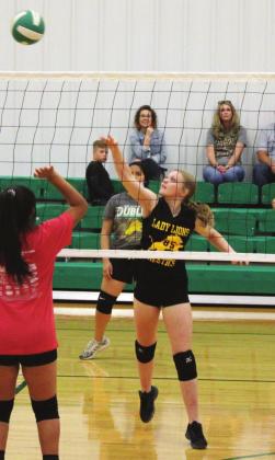 More than 30 Dublin volleyball players
