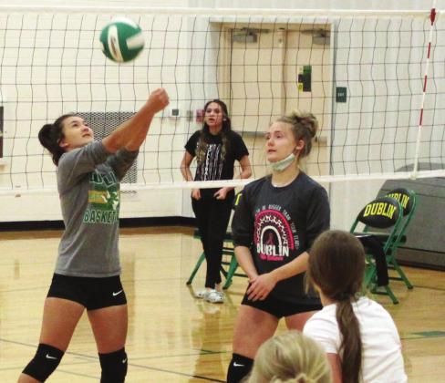 More than 30 Dublin volleyball players