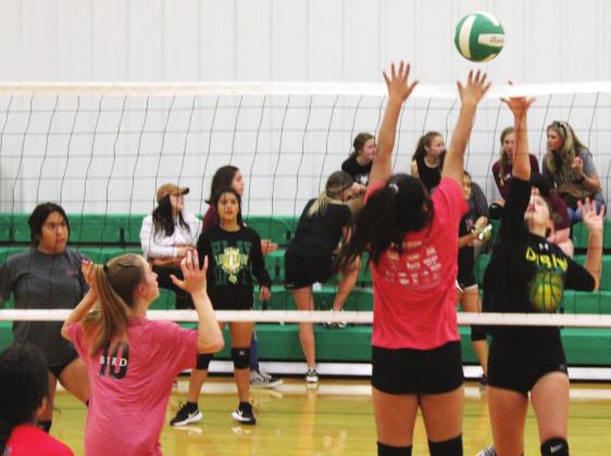 More than 30 Dublin volleyball players