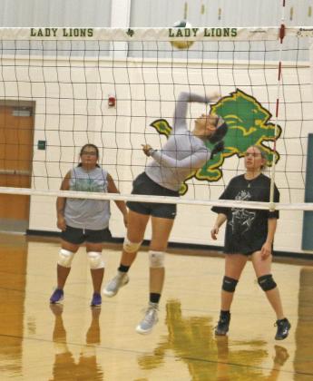 Dublin JV Green Lady Lion Tylor Nail (right, above) springs up to slam the ball back against mother Brittany during the parent/ alumni game Tuesday, Sept. 4. At right, parents and adults return the ball in the JV gold game. Paul Gaudette | Citizen staff photo
