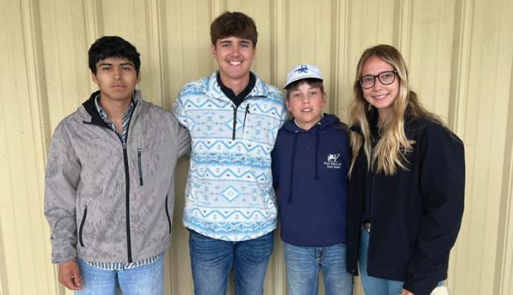 FFA Dairy Cattle