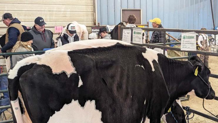 Dairy kicks off stock show