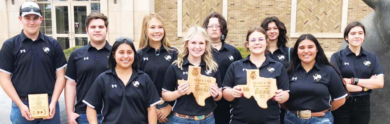 Dublin FFA places high in state