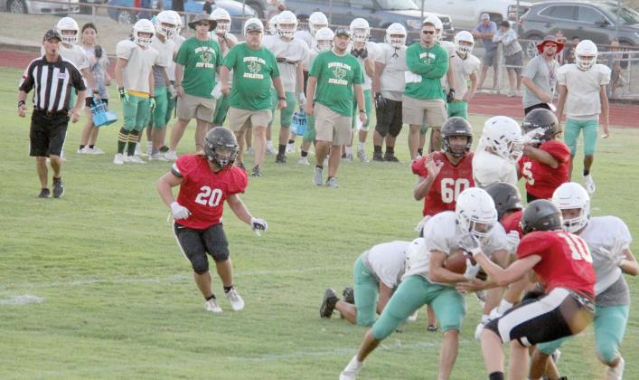 Lions battle bulldogs in scrimmage