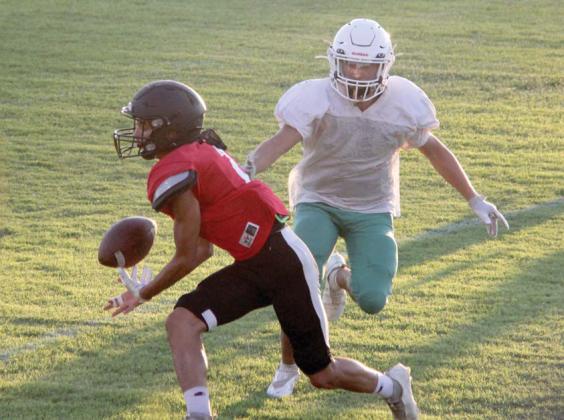 Lions battle bulldogs in scrimmage