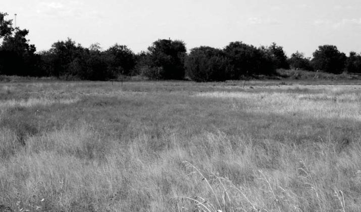 Dublin Downs, sometimes known as The Race Track, was created in the late 1800s for horse racing. Some say parts of the original track are still visible. More recently, the land was used for caliche storage for paving roads. Courtesy photo