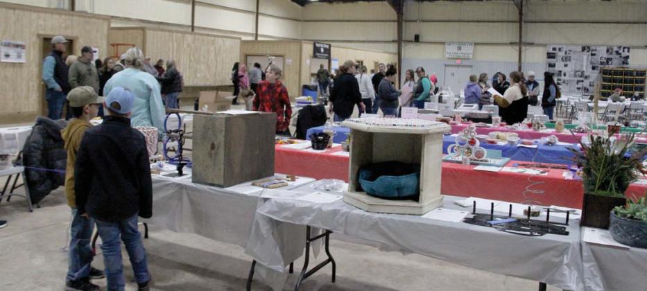 Participants checked out entries for the 4H Youth Fair on Thursday, Jan. 4. A wide variety of projects, including baked goods, were entered in this year’s fair. Paul Gaudette | Citizen staff photo
