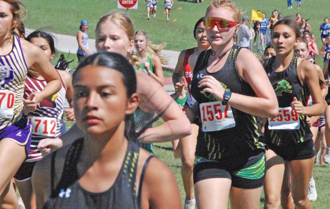 Dublin varsity girls and JV Boys run in the Dublin Dash invitational meet. Paul Gaudette | Citizen staff photos