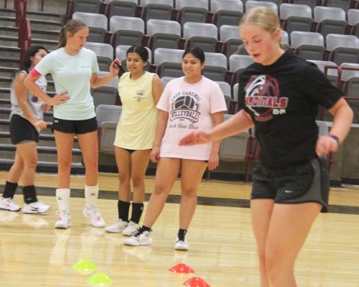 Cards, Lady Cards starting seasons