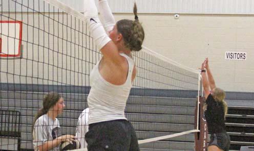 Cards, Lady Cards starting seasons