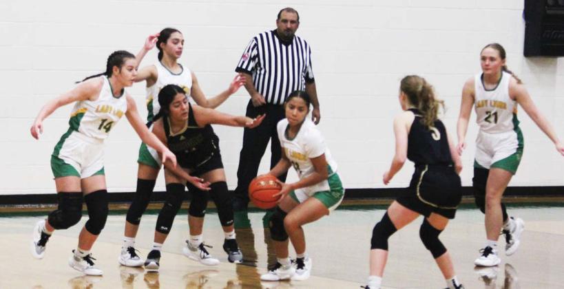 Lady Lions wrestle the ball back from Meridian offense during a Nov. 21 game in the Dublin Secondary Roy &amp; Lynn Neff Gym. Paul Gaudette | Citizen staff photo