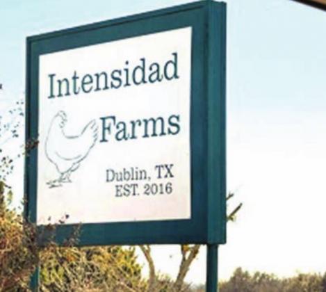 The team at Dublin’s Intensidad Farms (seen at left enjoying a Christmas dinner together) provided 2,000 farm fresh eggs to the Erath community in a donation that was delivered and dispersed at the Erath County COVID Vaccine Center (in the former Stephenville JC Penney/FFO store). | submitted photos