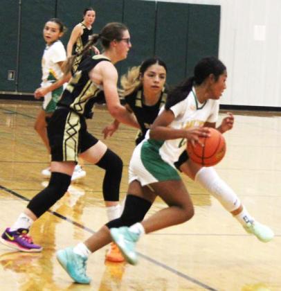 Dublin JV teams had busy schedules as they fought through the Dublin Tournament Dec. 5-7. Paul Gaudette | Citizen staff photos