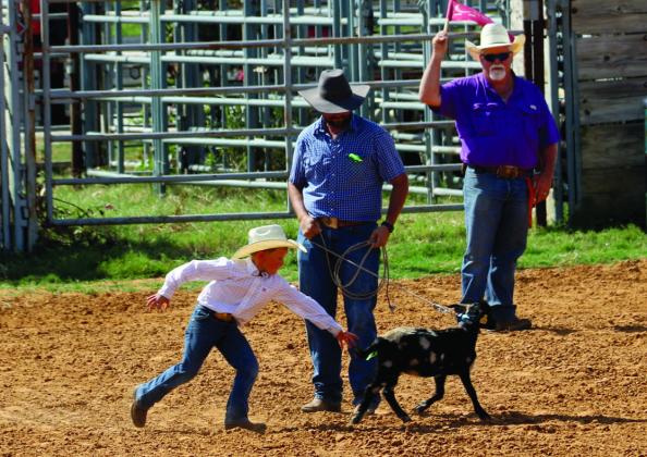 Ride ’em cowpokes