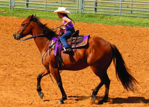 Ride ’em cowpokes