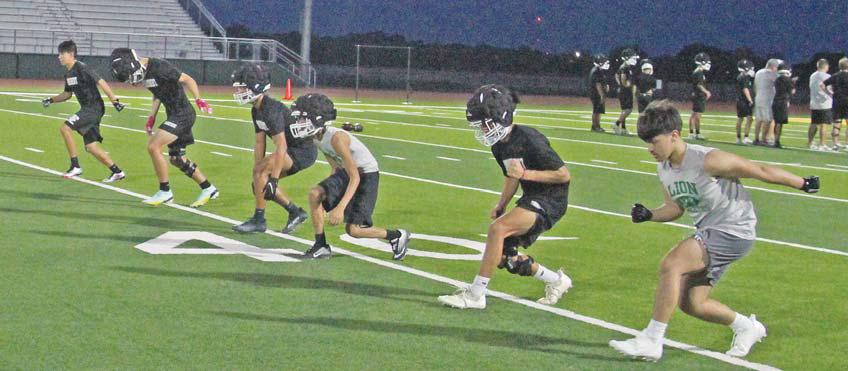 Lions, Lady Lions start season