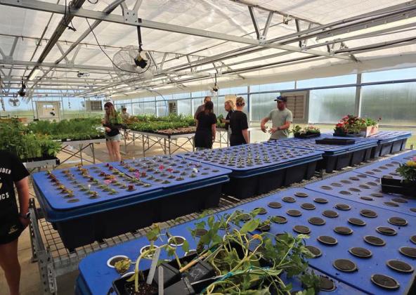 Eager shoppers peruse plants at the Dublin FFA Greenhouse Plant sale. Wyndi Veigel-Gaudette | Citizen staff photo